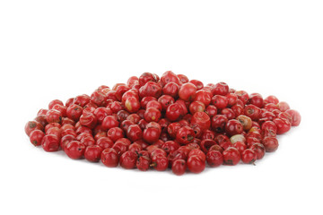 pink peppercorn isolated