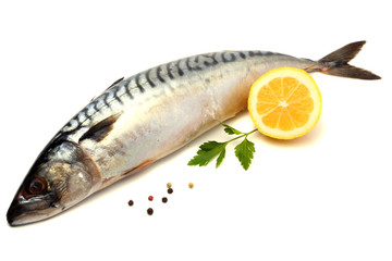 atlantic mackerel fish with lemon isolated on white background