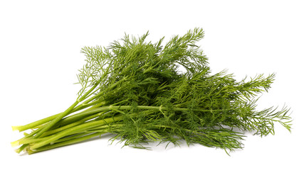 bunch fresh, green dill isolated on white background