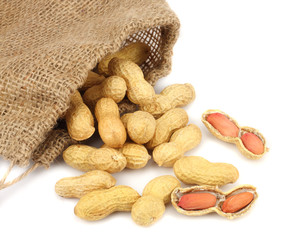 peanuts with sack cloth isolated on the white background