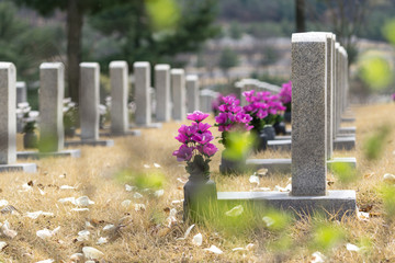 gravestones at seoul national cemetery