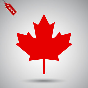 Maple leaf vector icon. Canada vector symbol maple leaf clip art. Maple leaf vector illustration.