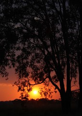 Fototapeta premium Sunset Lane 4