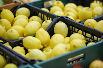 lemons in crates on supermarket