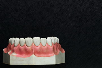 Mock up teeth put on the dark background scene.