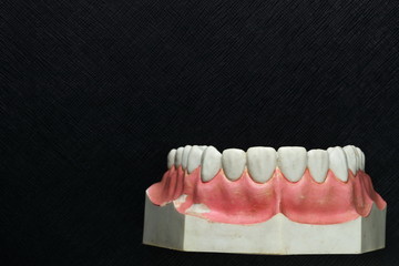 Mock up teeth put on the dark background scene.