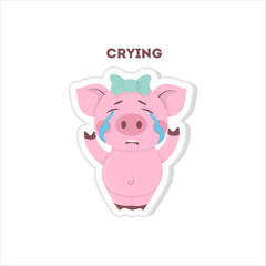 Isolated crying pig sits on white background.