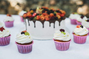 Delicious fruit cake with cupcakes for a happy birthday