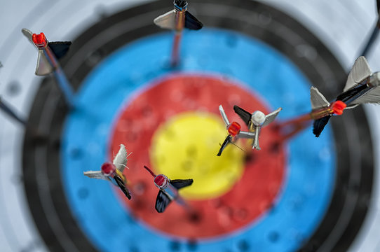 Closeup on arrows in target. Focus on nock. Shallow depth of field.