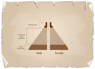 Detail of Population Pyramids Graphs Depend on Age