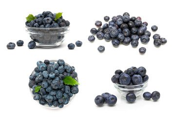 Ripe blueberries isolated on white background.