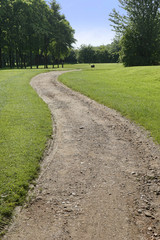 dirt track path in the countryside