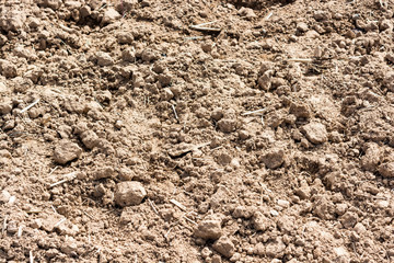 Detail of surface texture with dirty ground.