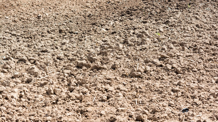 Detail of surface texture with dirty ground.