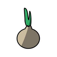 onion cooking picnic shadow vector illustration eps 10