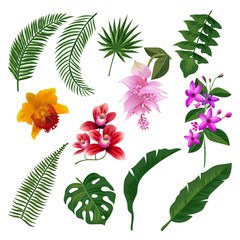 Set of Tropical flowers bouquet. Vector illustration of leaves and branches