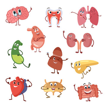 Human organs with funny emotions. Cartoon vector illustration isolate on white background