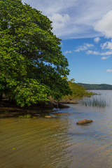 Guaiba lake landscape