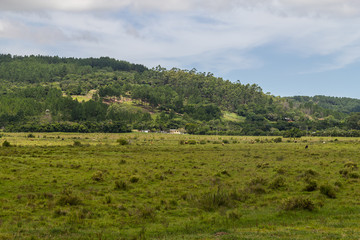 Obraz premium Farm field and hill