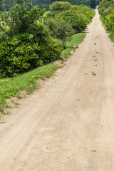 Fototapeta na wymiar Dirt road to a Farm