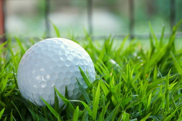Old golf ball put on the grass floor.