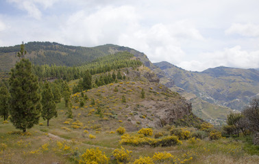 central Gran Canaria in April