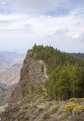 central Gran Canaria in April
