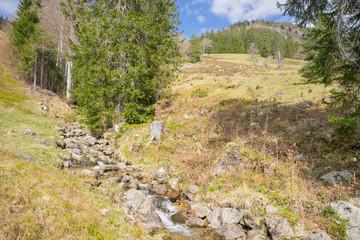 Wildbach im Schwarzwald