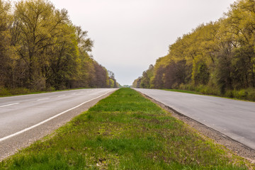 Empty asphalt road and forest