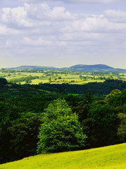 Fototapeta na wymiar lush green typical generic beautiful english cotswold landscape