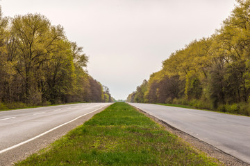 Fototapeta premium Empty asphalt road and forest