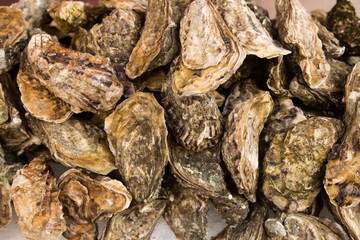 Fototapeta na wymiar oysters for sale in the outdoor morning market of Ortigia, Siracusa, Sicily