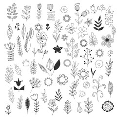 Doodle branches, herbs and flowers. Hand drawn. Vector.