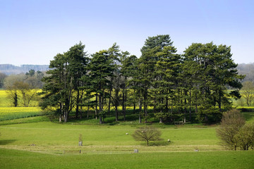 Obraz premium typical beautiful lush green english cotswold landscape 