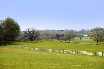 Obraz premium typical beautiful lush green english cotswold landscape 
