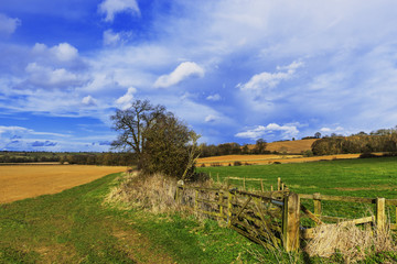 Fototapeta na wymiar typical beautiful lush green english cotswold landscape 