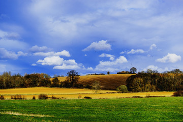 Obraz premium typical beautiful lush green english cotswold landscape 