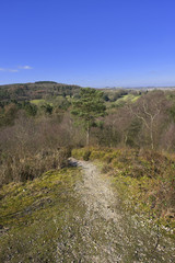 typical beautiful generic lush green english cotswold landscape