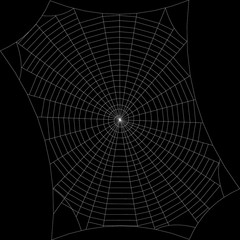 Obraz premium Spiderweb. Isolated on black background. Vector outline illustration.