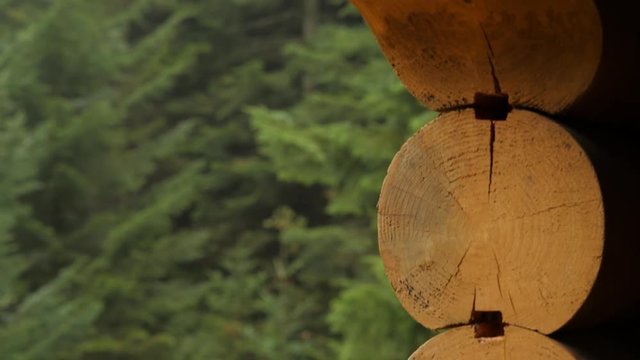 Sections of Logs of Old Wooden Wall Fir-Trees Coniferous Forest is Behind Orthodox Male Cloister Ancient Architecture Museum Nature Carpathian Mountains