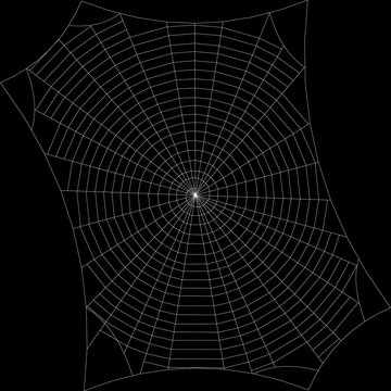 Spiderweb. Isolated on black background. Vector outline illustration.