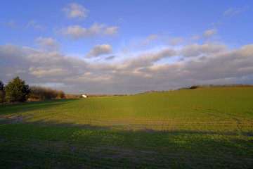 lush green typical beautiful english cotswold landscape