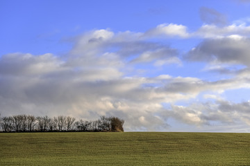 Obraz premium lush green typical beautiful english cotswold landscape