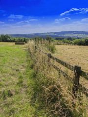 Fototapeta na wymiar lush green typical beautiful english cotswold landscape