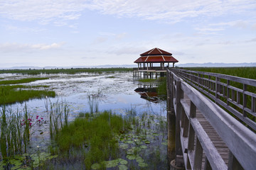 Old wooden bridge path to pavilion on lagoon. Beautiful tourist attractions,Thailand
