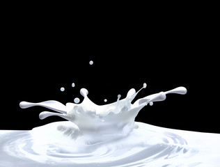milk splash isolated on black background