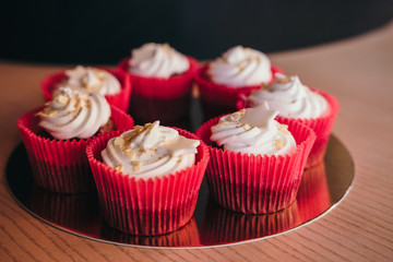Chocolate cupcake with cream cheese icing with space for text.