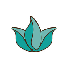 Obraz premium leaves floral nature decoration vector illustration eps 10