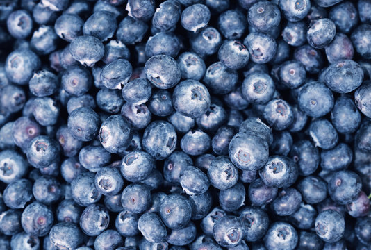blueberries close up background