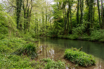 Alte Aare bei Kappelen